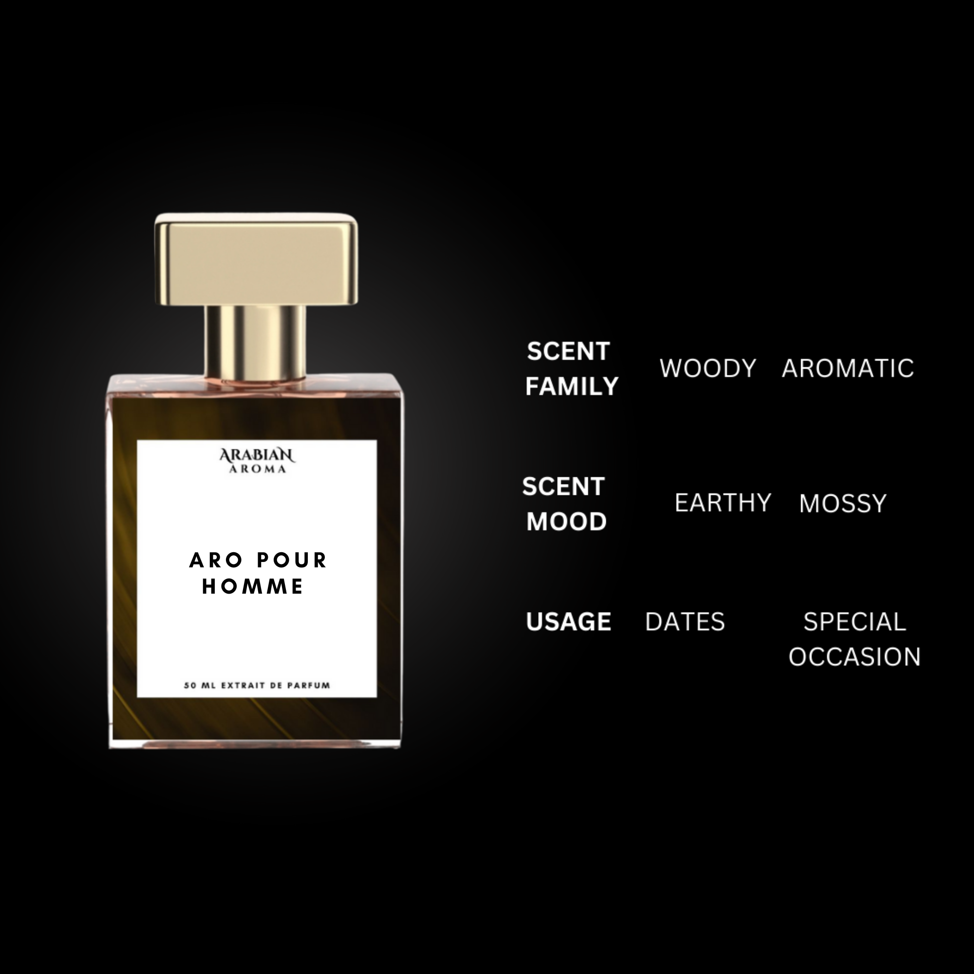 ARO Pour Homme By Arabian Aroma