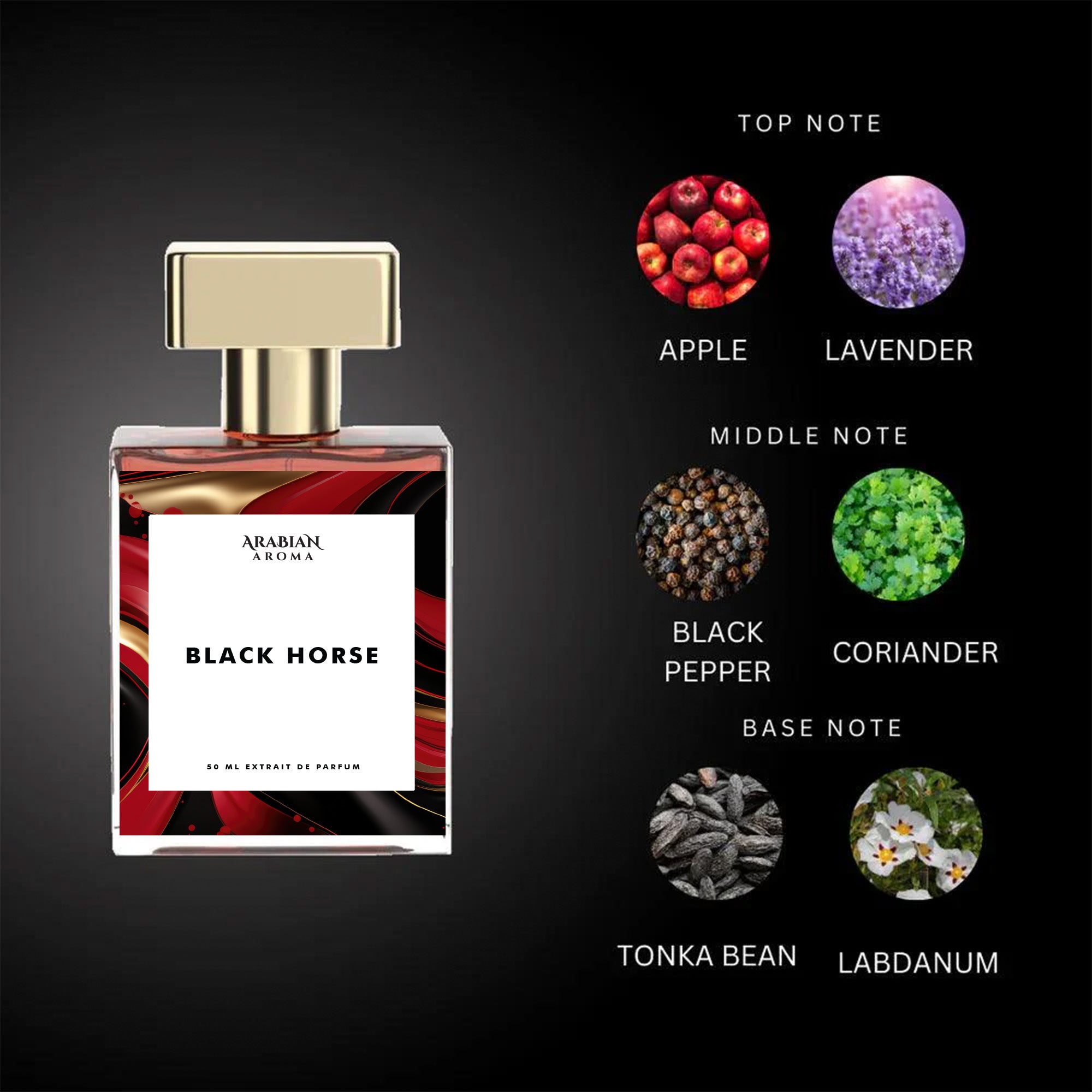 Black Horse By Arabian Aroma