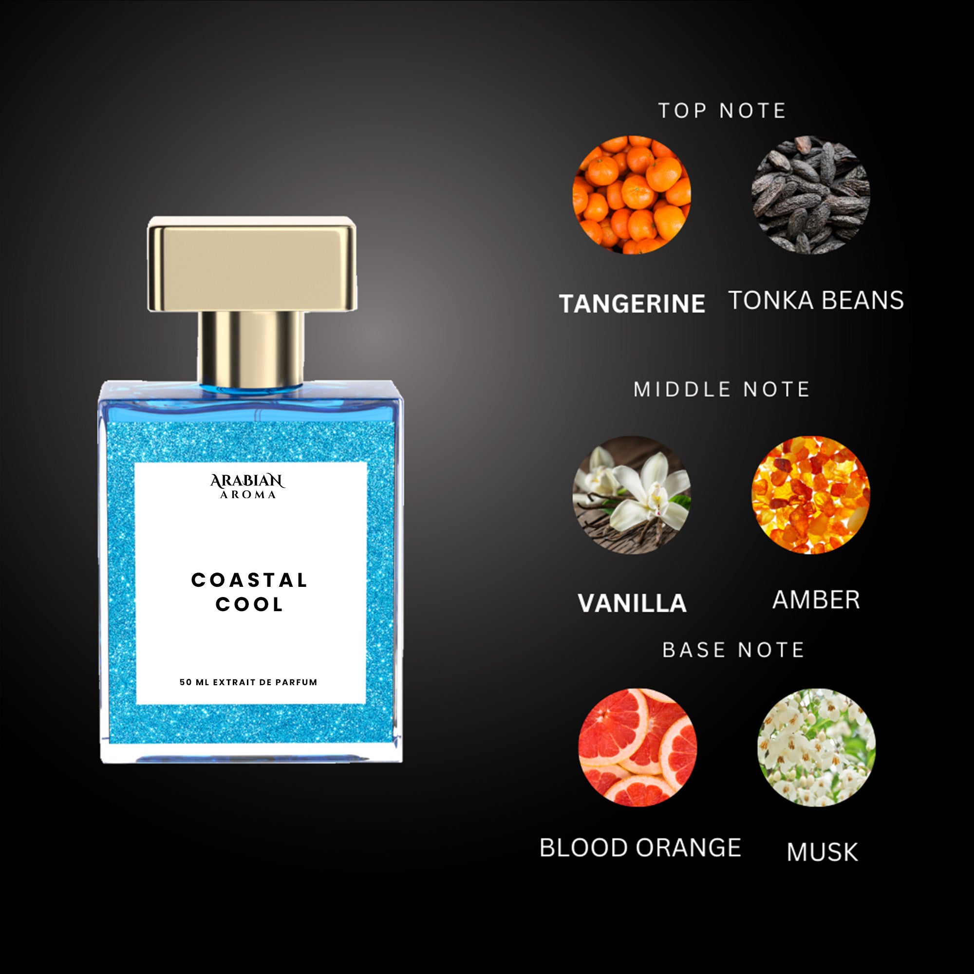 Coastal Cool By Arabian Aroma