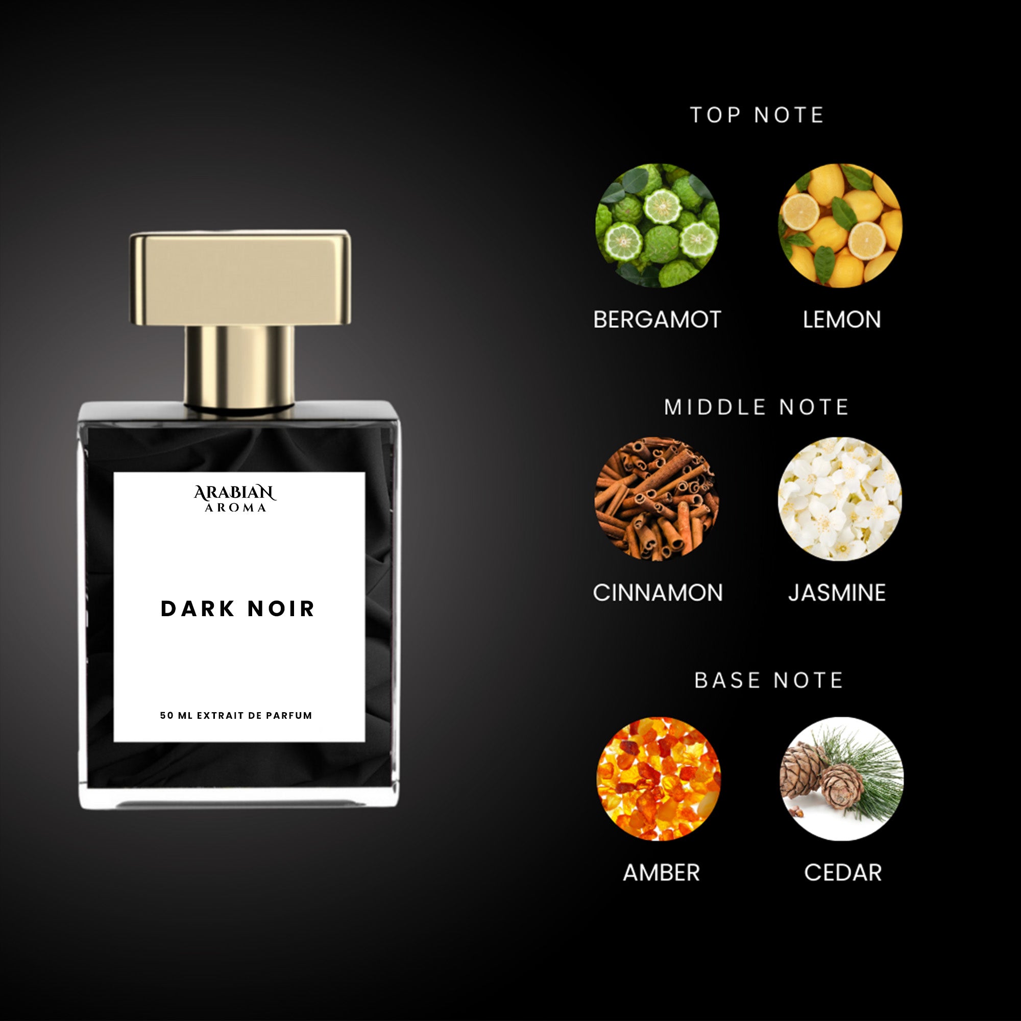Dark Noir By Arabian Aroma