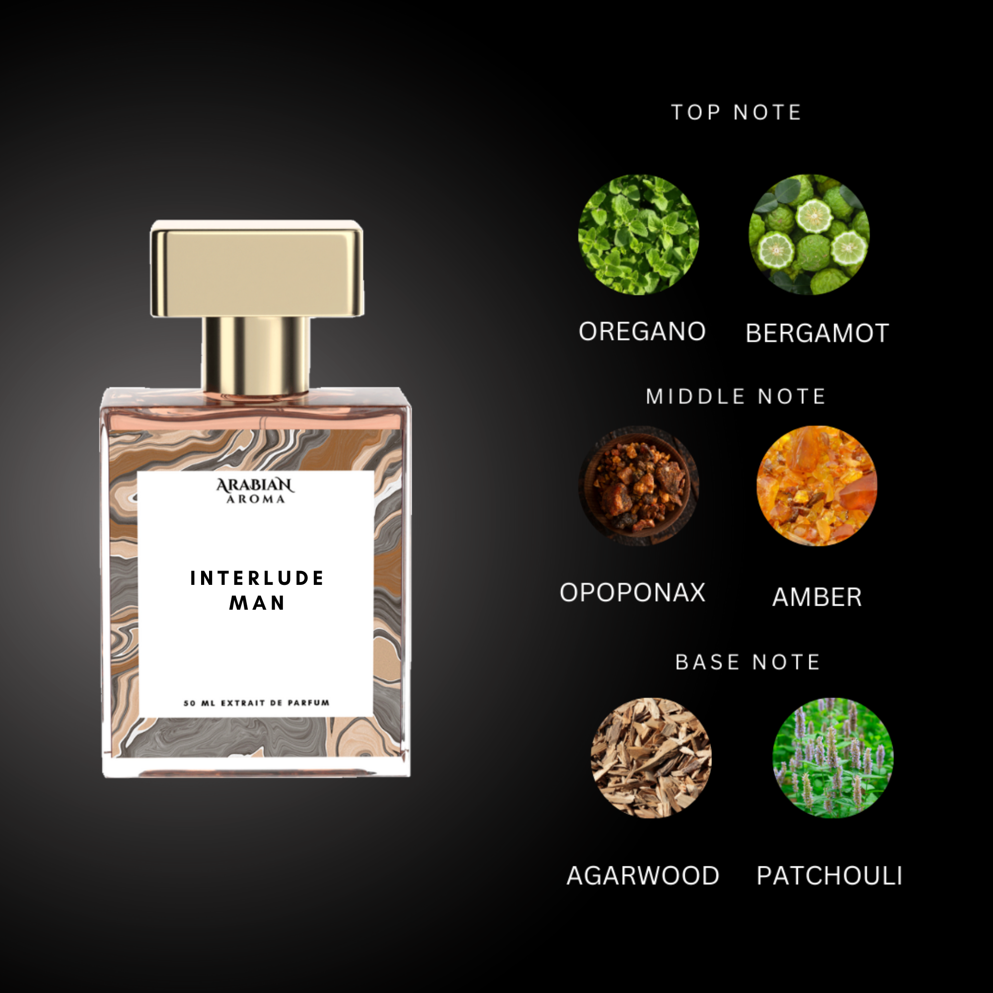 Interlude Man By Arabian Aroma