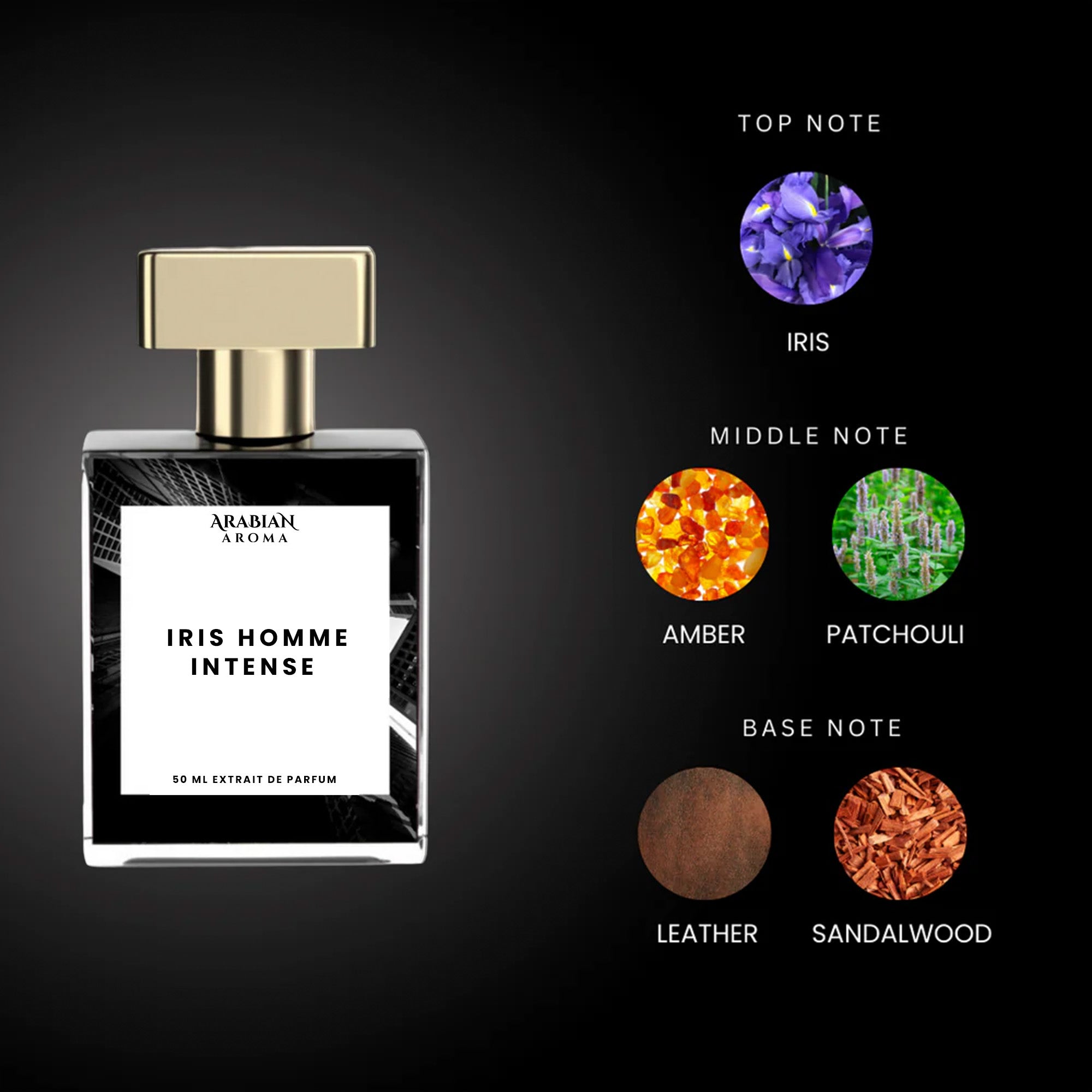 Iris homme intense By Arabian Aroma