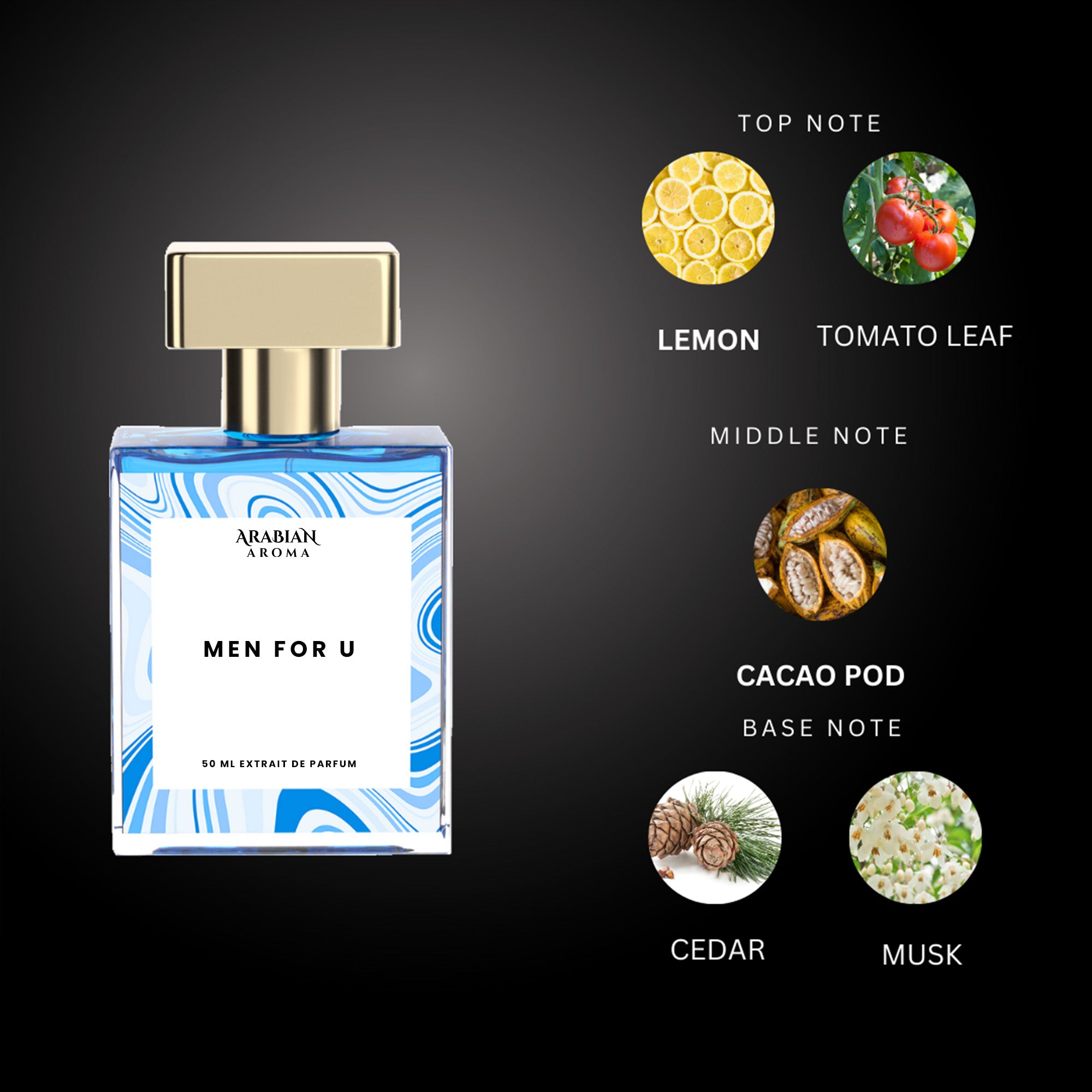 Men IN2U By Arabian Aroma