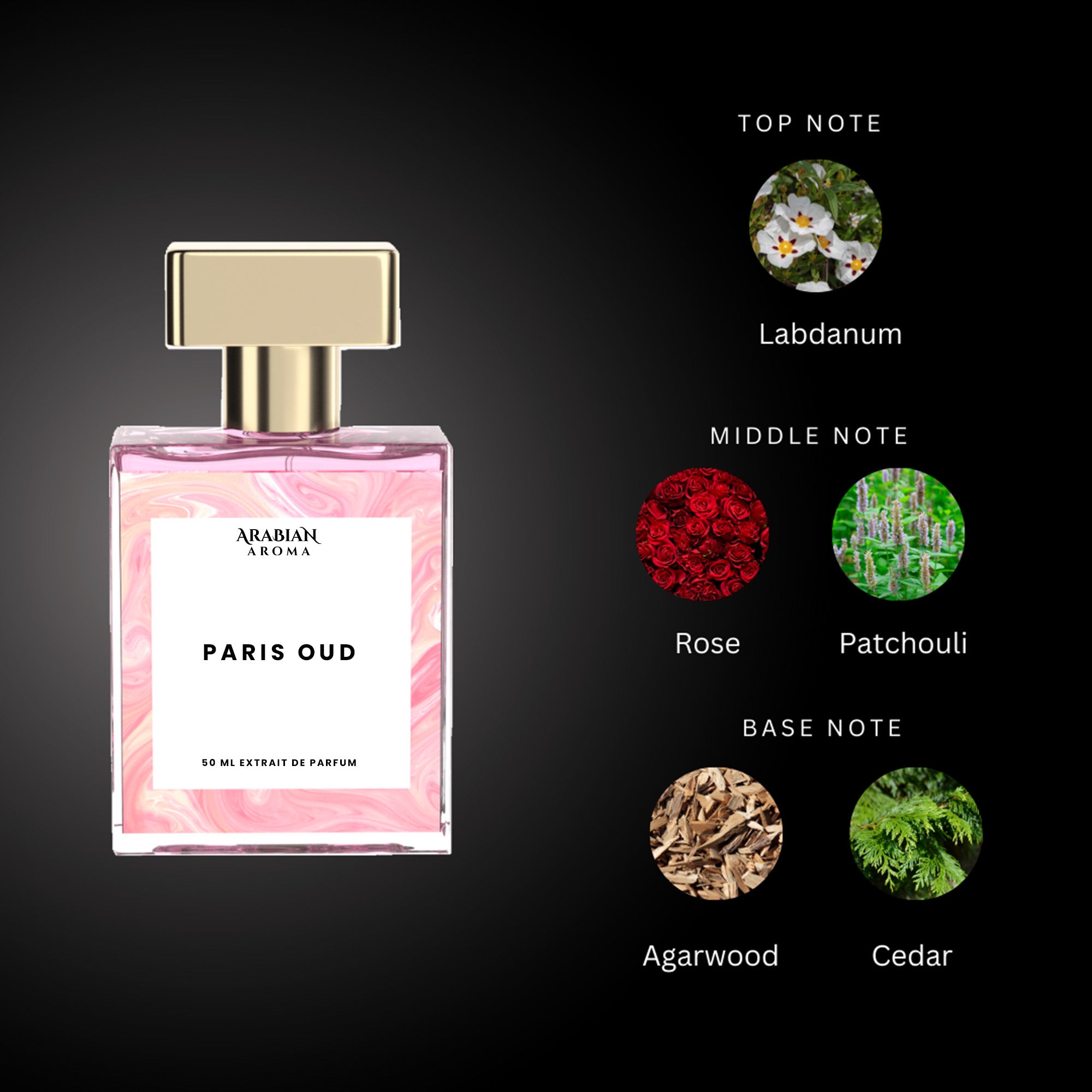 Paris Oud Arabian Aroma