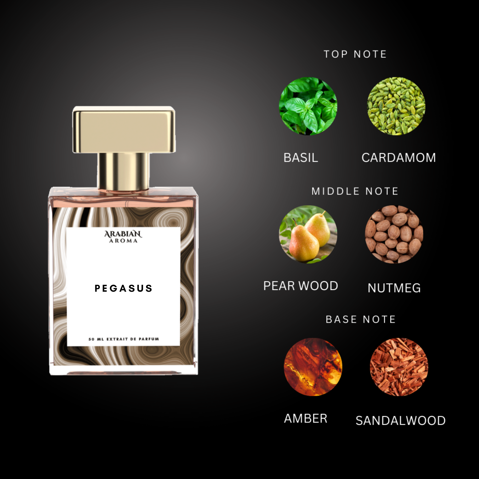Pegasus By Arabian Aroma