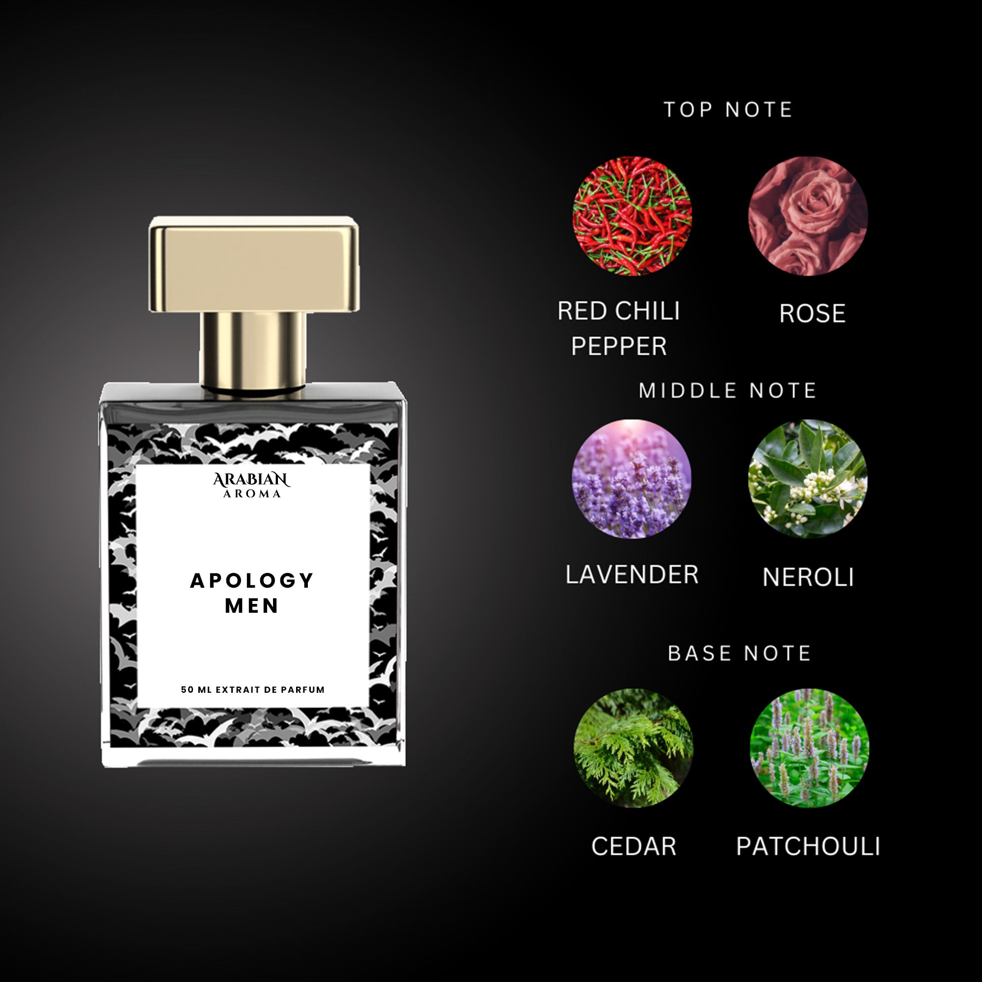 Apology Men Perfume | Arabian Aroma