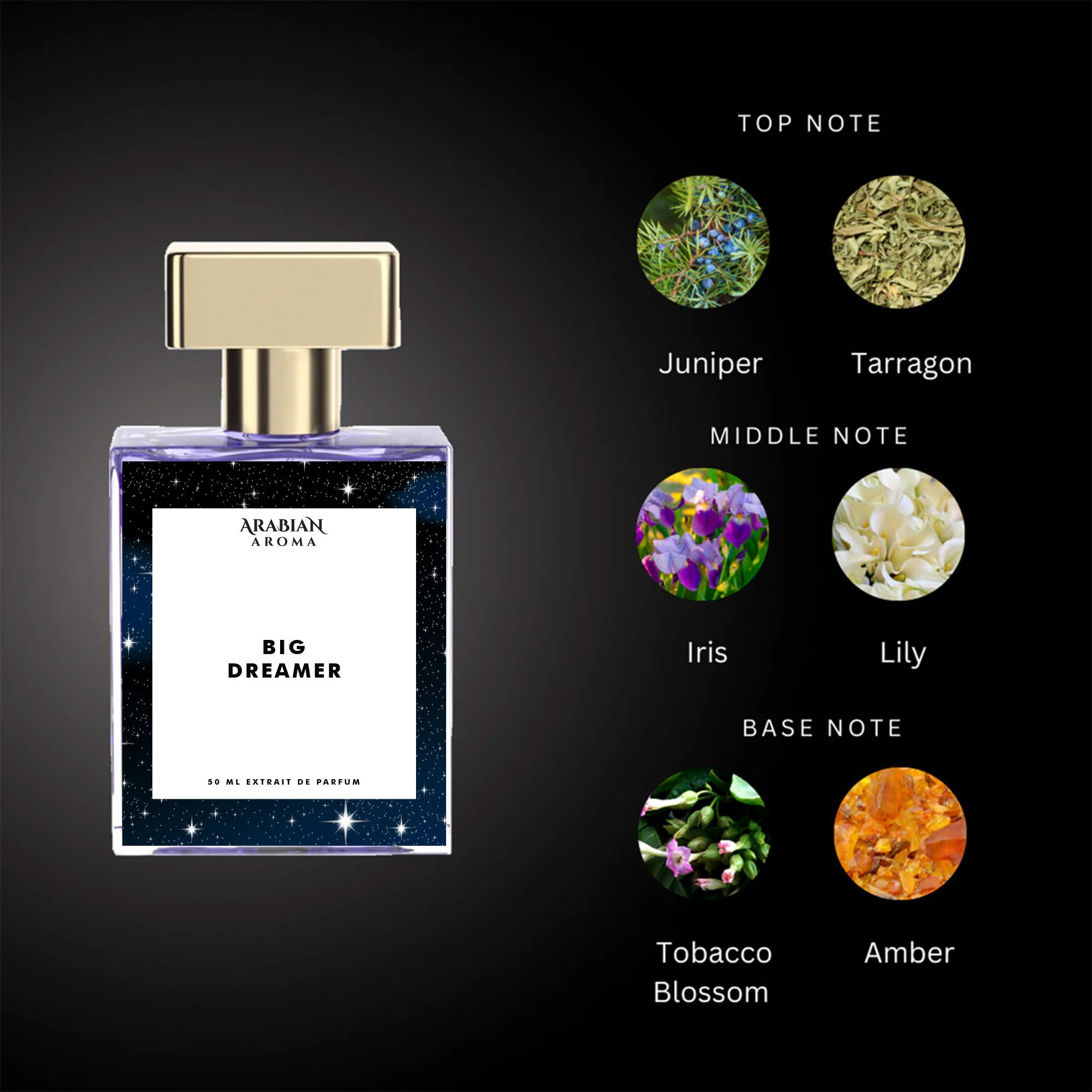 Big Dreamer By Arabian Aroma