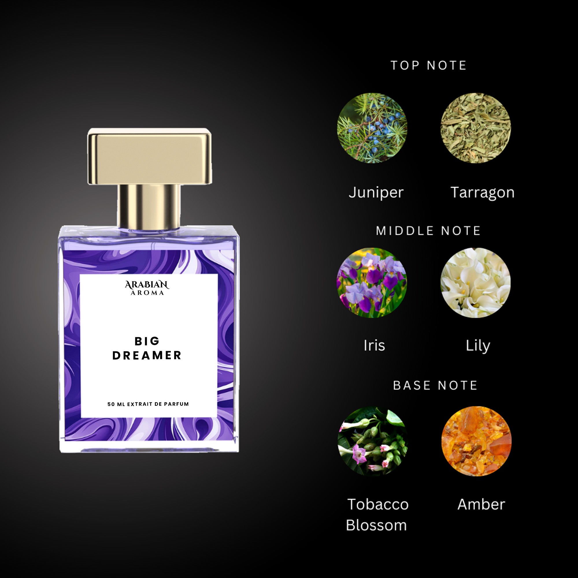 Big Dreamer By Arabian Aroma