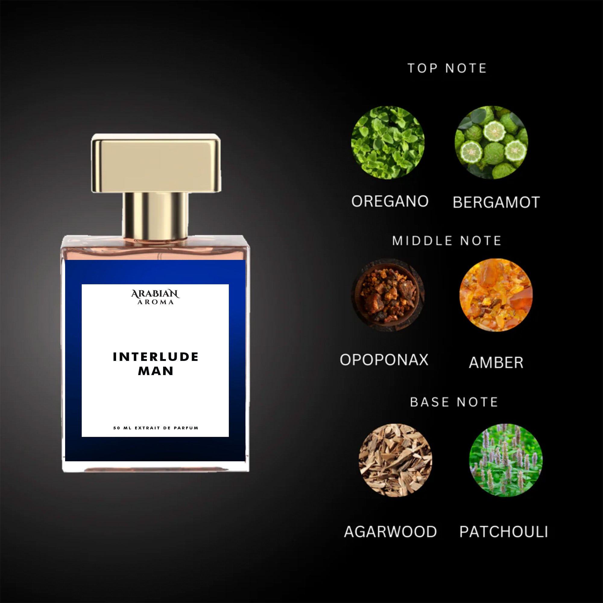 Interlude Man By Arabian Aroma