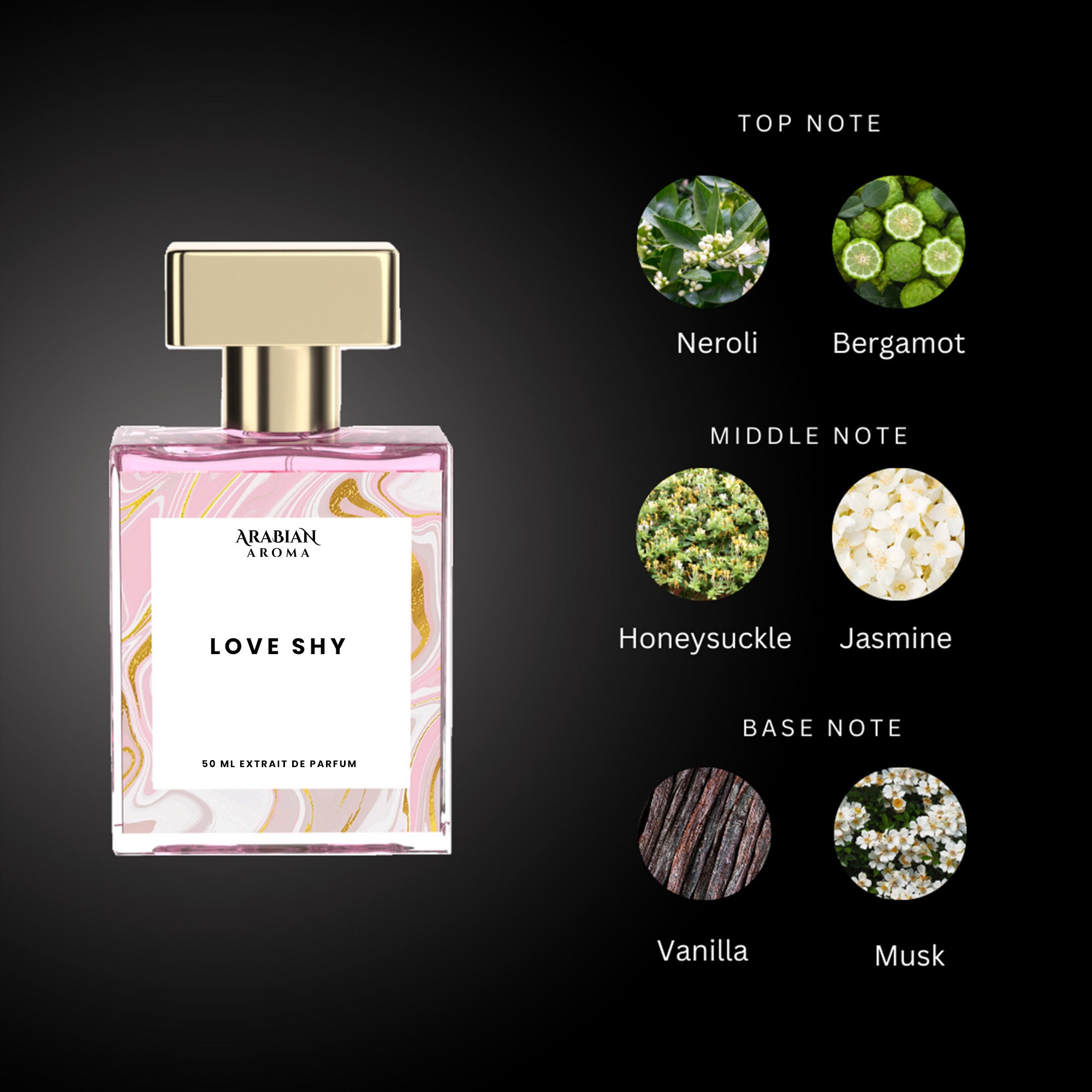Love Shy By Arabian Aroma