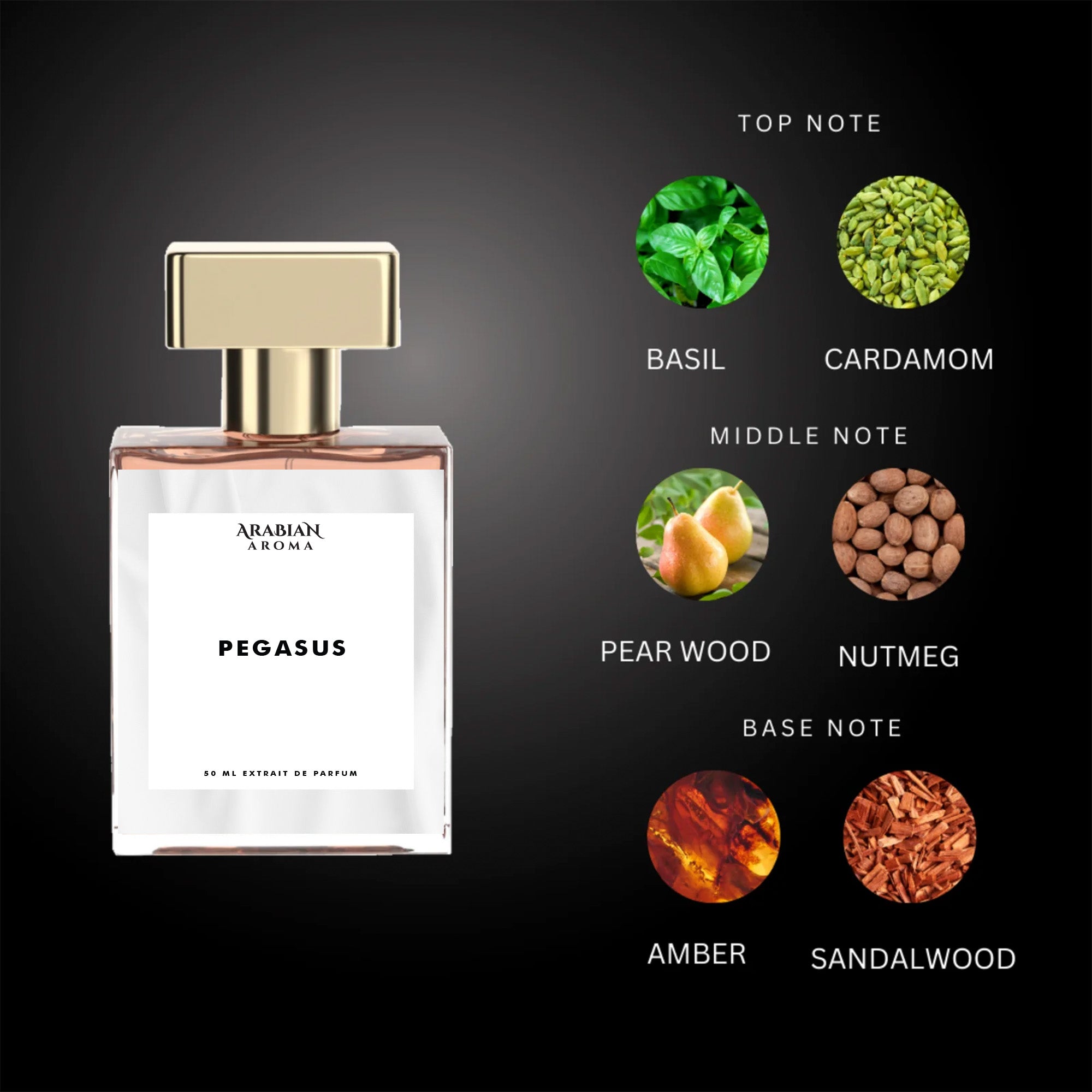 Pegasus By Arabian Aroma