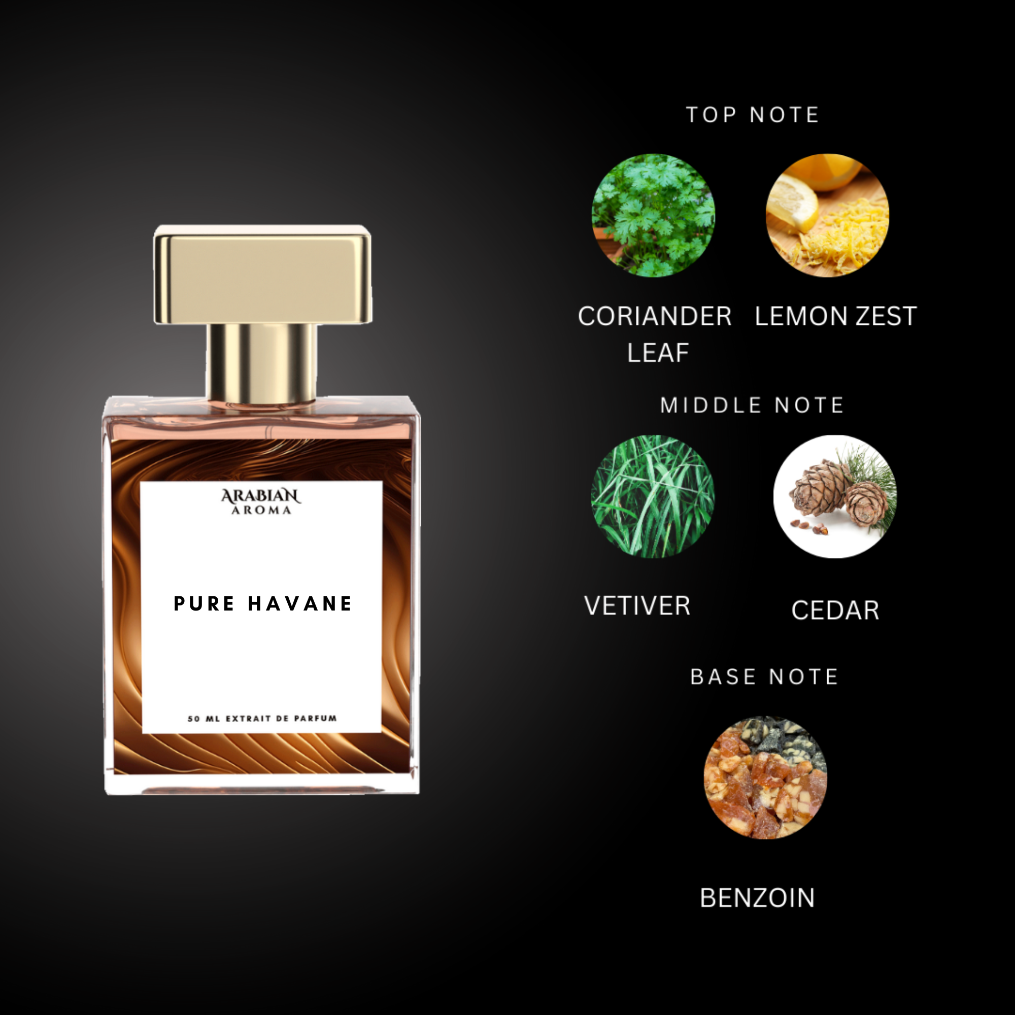 Pure Havane by Arabian Aroma