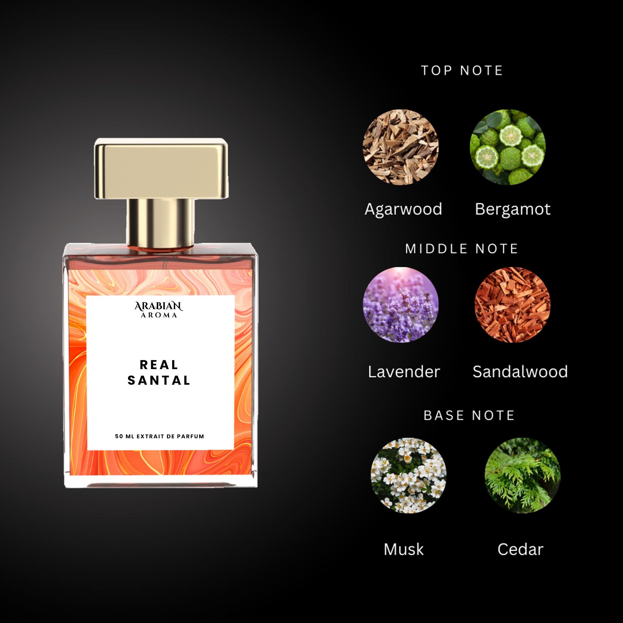 Real Santal By Arabian Aroma