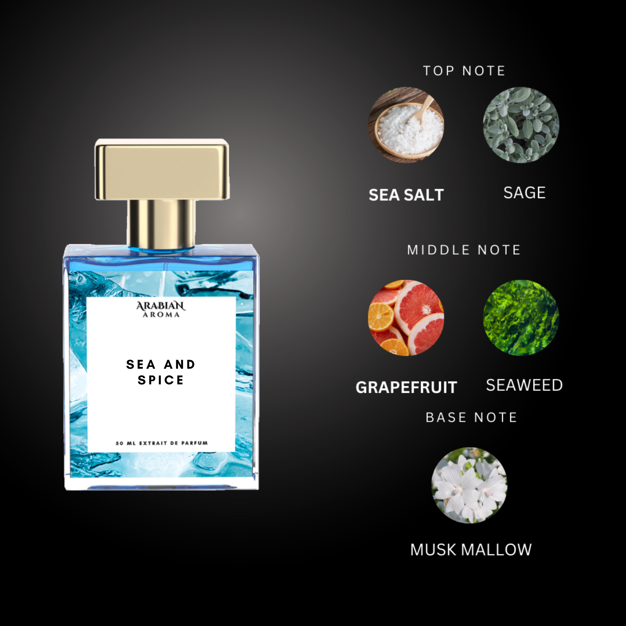 Sea and Spice By Arabian Aroma