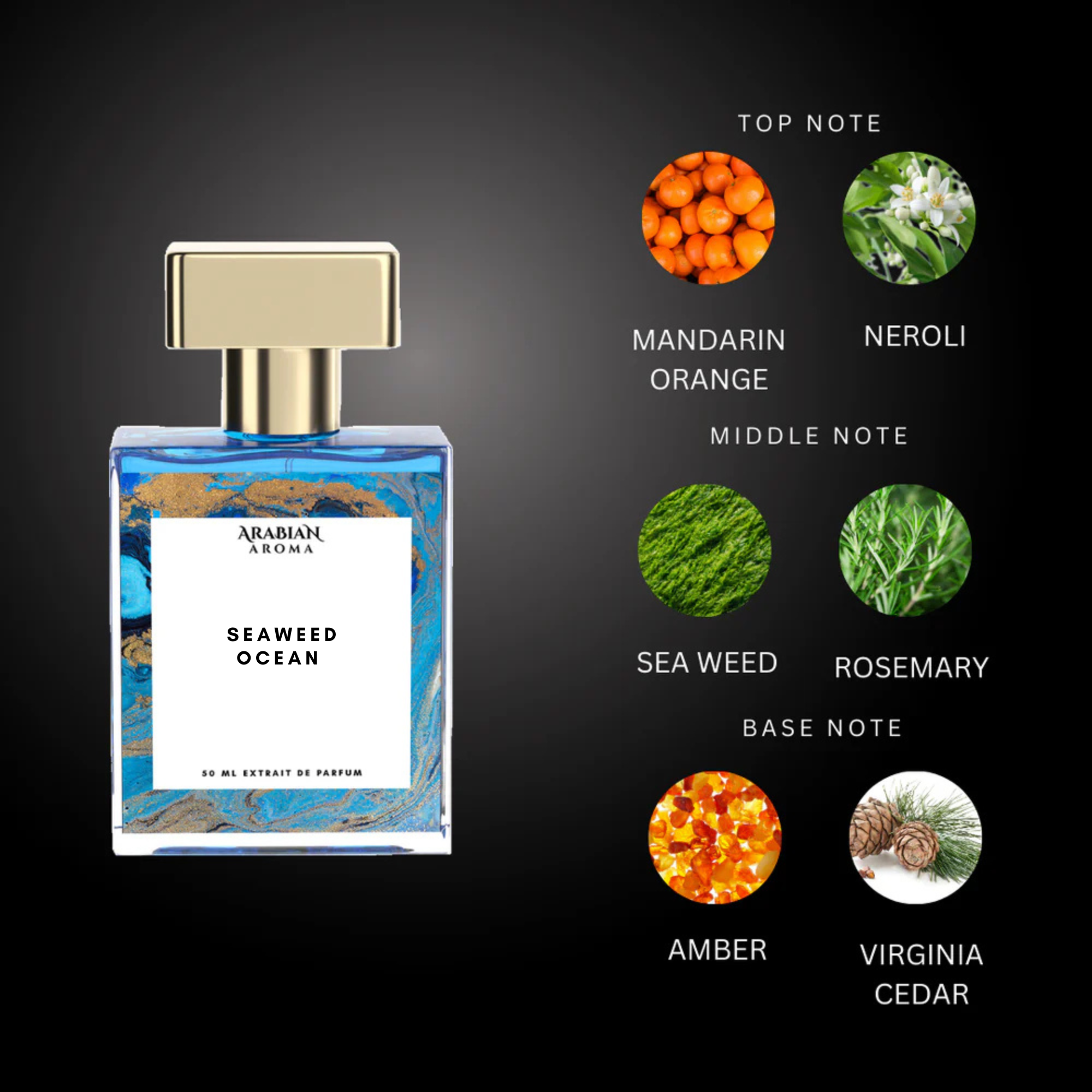 Seaweed Ocean By Arabian Aroma