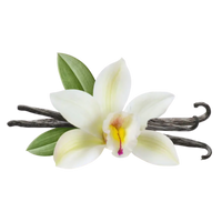 Vanilla