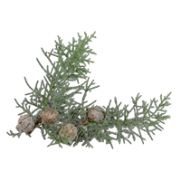 Virginia Cedar