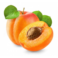 Apricot