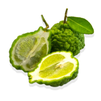 Bergamot
