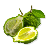 Calabrian Bergamot
