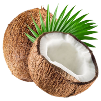 Coconut