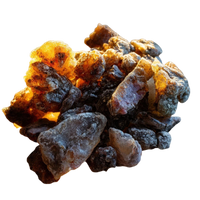 Fir Resin
