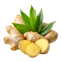 Ginger