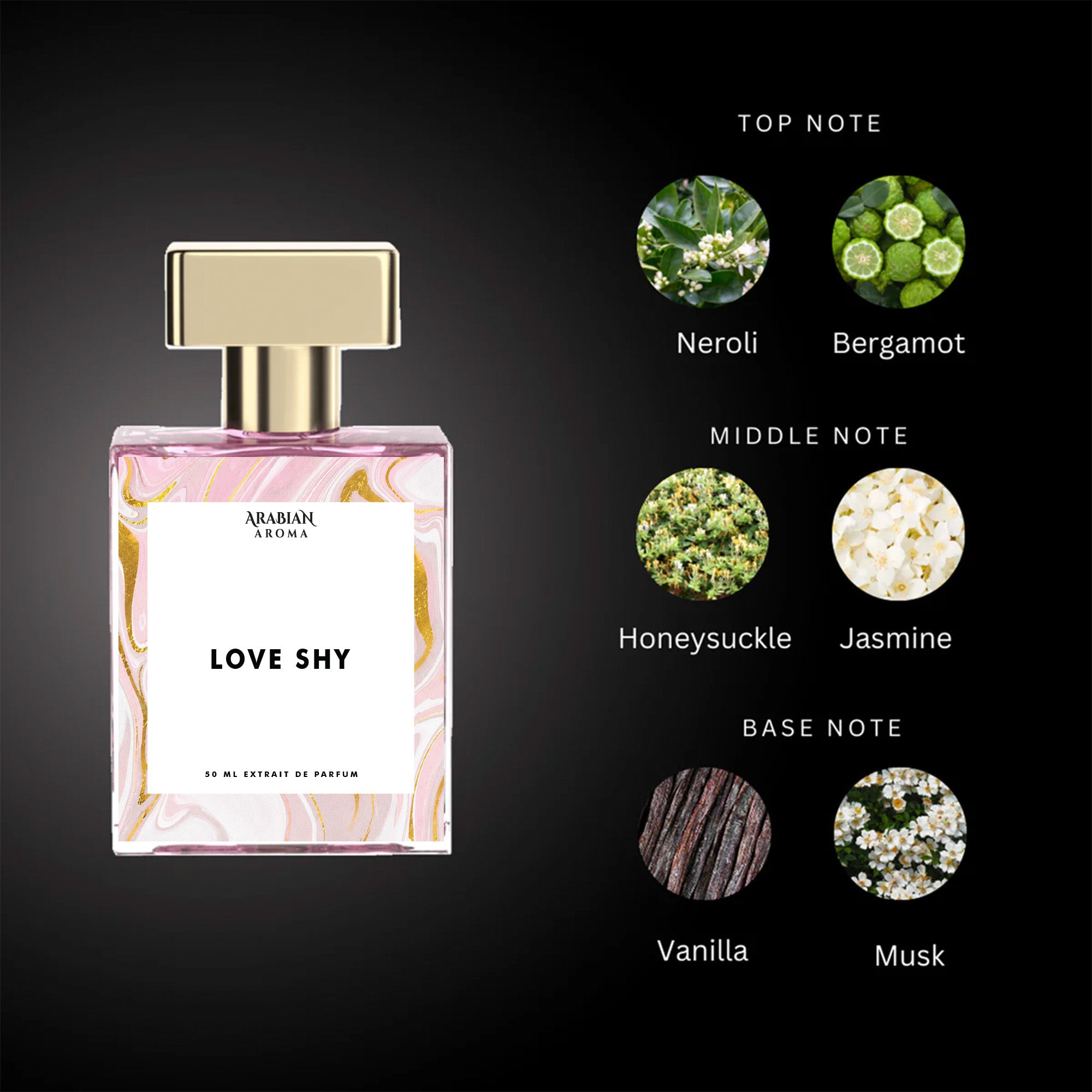 Love Shy By Arabian Aroma