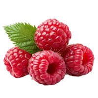 Raspberry