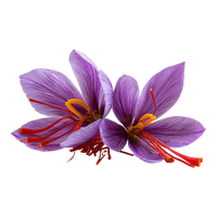 Saffron