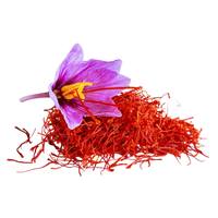 Saffron Dance