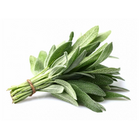 Sage